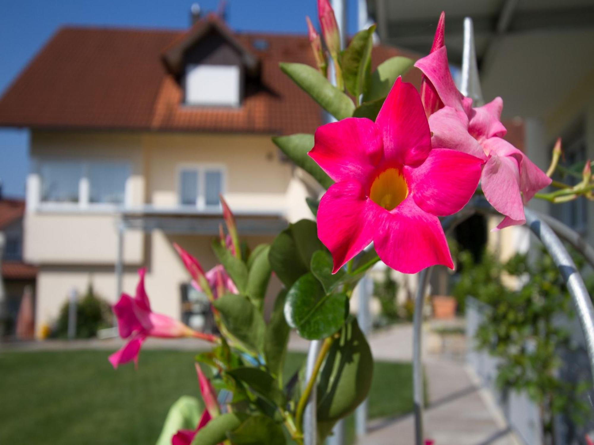 Obst- Und Ferienhof Witzigmann Wasserburg Buitenkant foto